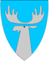 Landskapsvåpen for Tynset